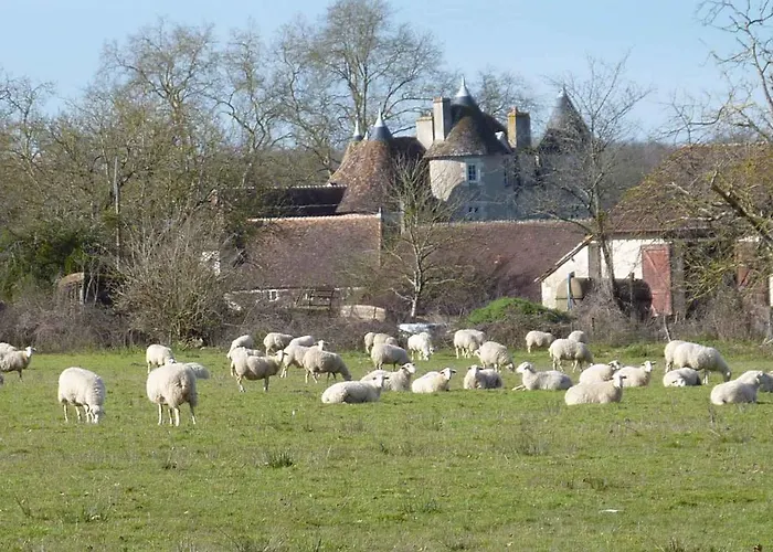 Bed & Breakfast Le Logis Alexandra